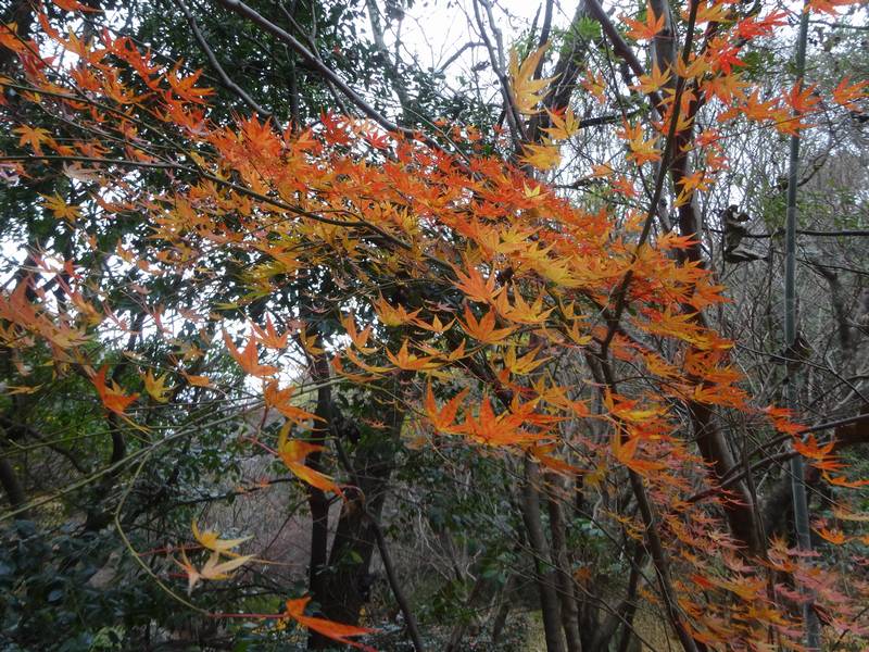 2025-12_SEITA2.jpg(137116 byte)